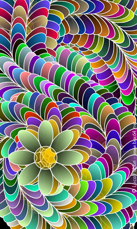 fiori colorati app wallpaper 08