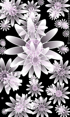 fiori colorati app wallpaper 04