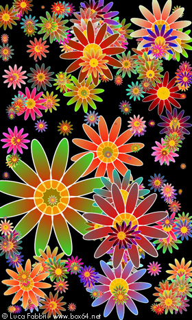 fiori colorati app wallpaper 06