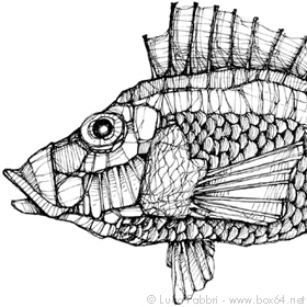 disegno a penna pesce