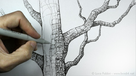 Video disegno timelapse RAPIDISEGNI