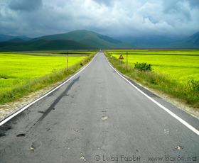 fotografia strada campi fioriti Norcia