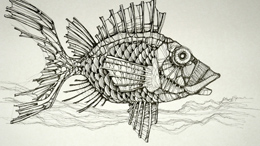 video time lapse disegno al tratto su carta di un pesce - canale youtube rapidisegni